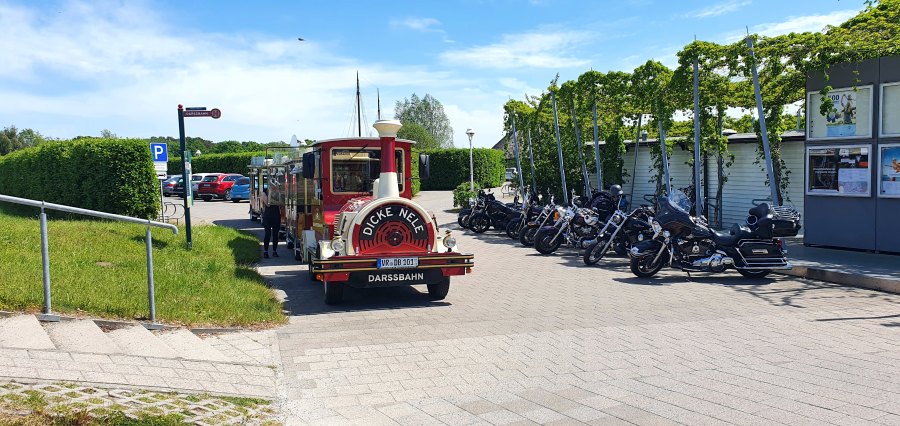 Darßtour im Juni-25.jpg